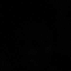 Meet your Posher, Karla